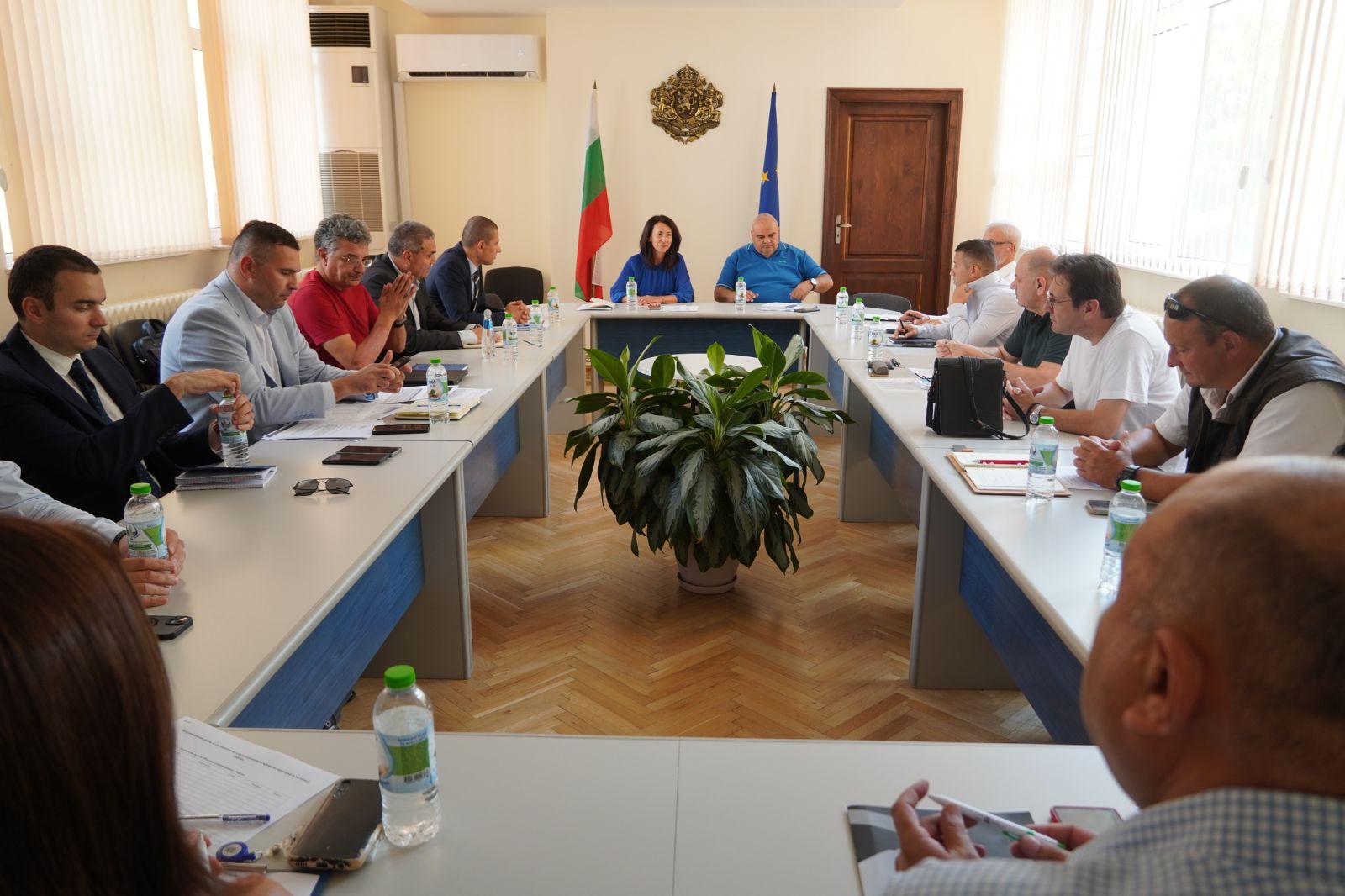 9 са критичните електропроводи в региона, опасните дървета извън сервитутите им ще бъдат премахнати 