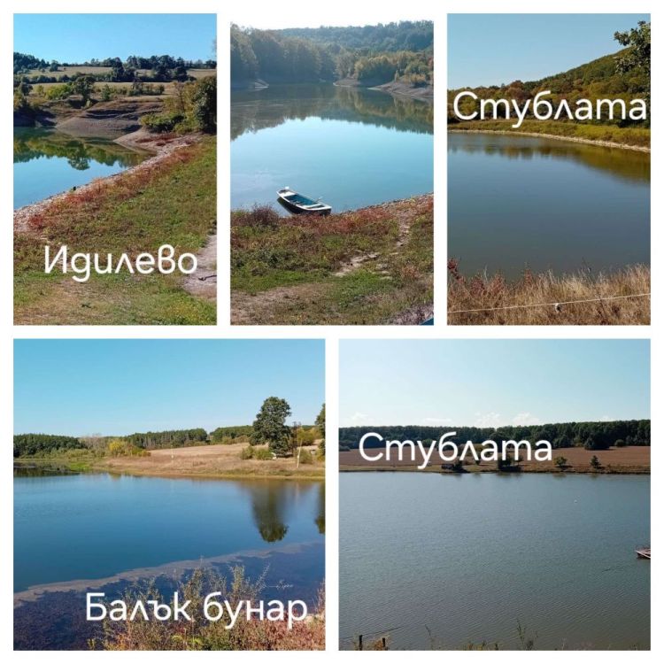 BeFunky-collage.jpg