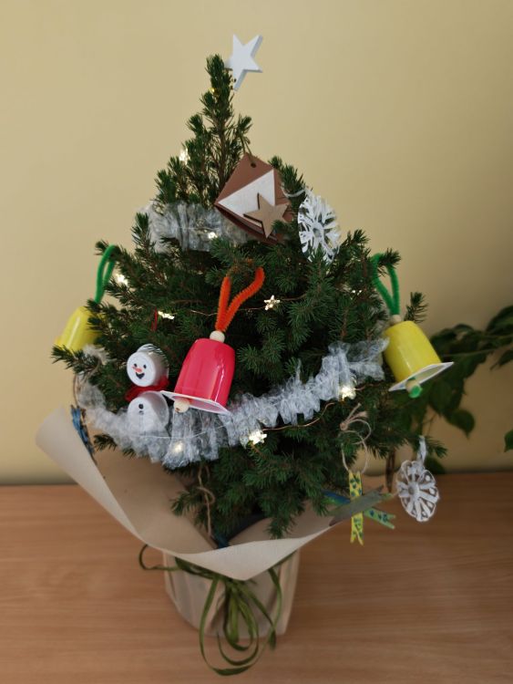 Елха с декорации от отпадъчни материали украсява Областна администрация Габрово 